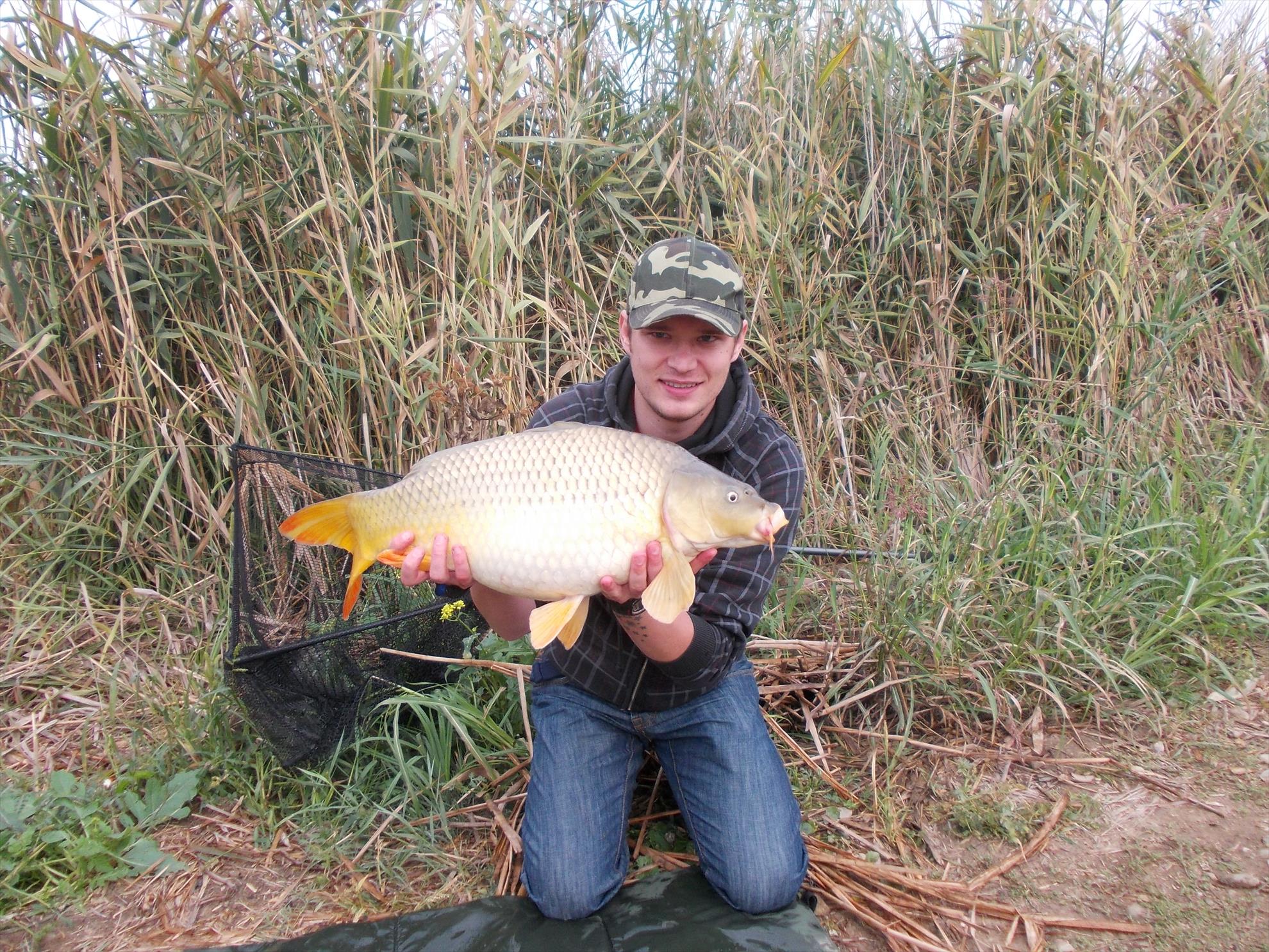 Carp mad - dscn197411.JPG